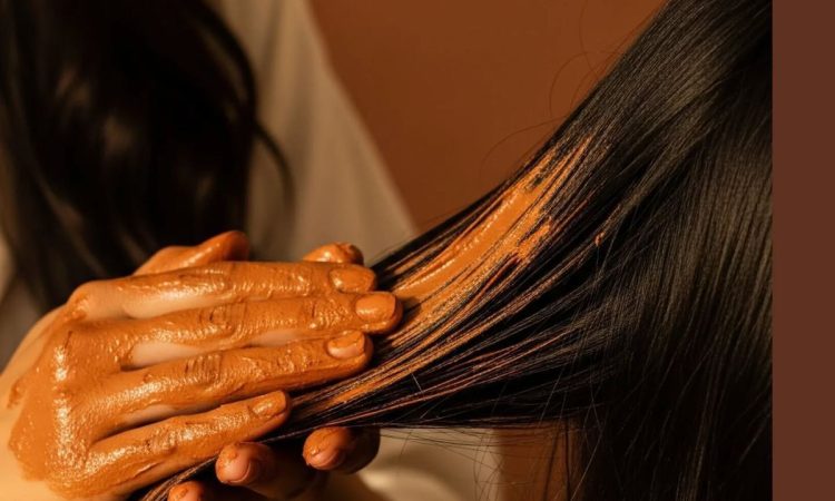 WhatsApp Image 2026-02-21 at 17.04.35